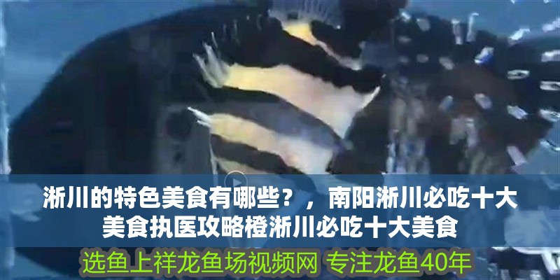 淅川的特色美食有哪些？，南陽淅川必吃十大美食執醫攻略橙淅川必吃十大美食