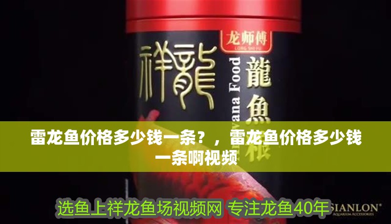 雷龍魚價格多少錢一條？，雷龍魚價格多少錢一條啊視頻