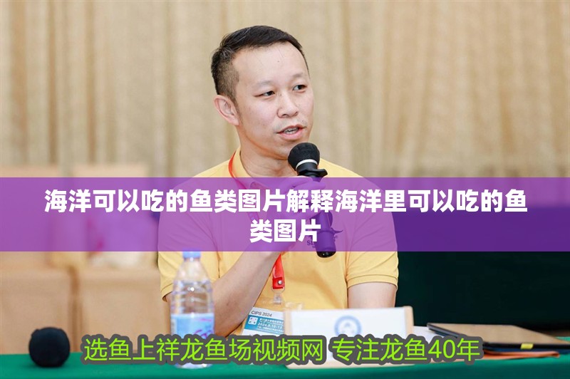 海洋可以吃的魚類圖片解釋海洋里可以吃的魚類圖片