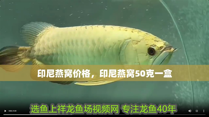 印尼燕窩價格，印尼燕窩50克一盒