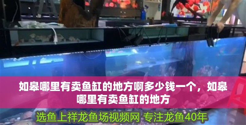 如皋哪里有賣魚缸的地方啊多少錢一個(gè)，如皋哪里有賣魚缸的地方