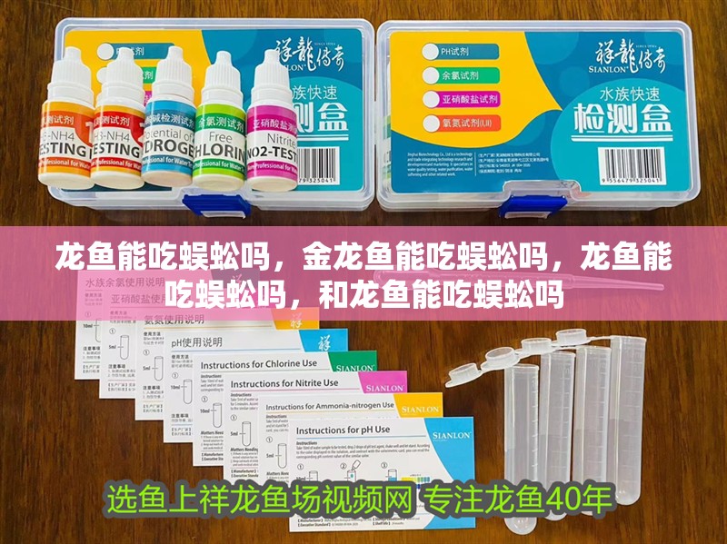 龍魚能吃蜈蚣嗎，金龍魚能吃蜈蚣嗎，龍魚能吃蜈蚣嗎，和龍魚能吃蜈蚣嗎 龍魚能吃蜈蚣嗎，金龍魚能吃蜈蚣嗎，龍魚能吃蜈蚣嗎，和龍魚能吃蜈蚣嗎 觀賞魚百科