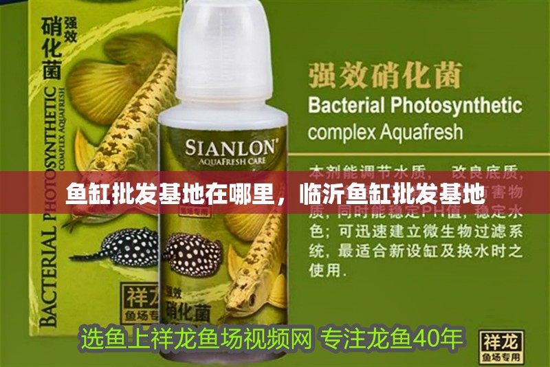 魚缸批發基地在哪里，臨沂魚缸批發基地