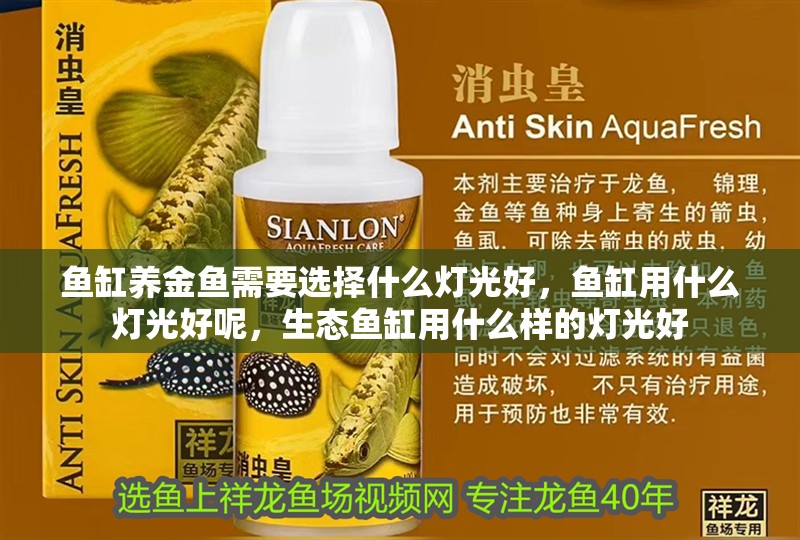 魚缸養金魚需要選擇什么燈光好，魚缸用什么燈光好呢，生態魚缸用什么樣的燈光好
