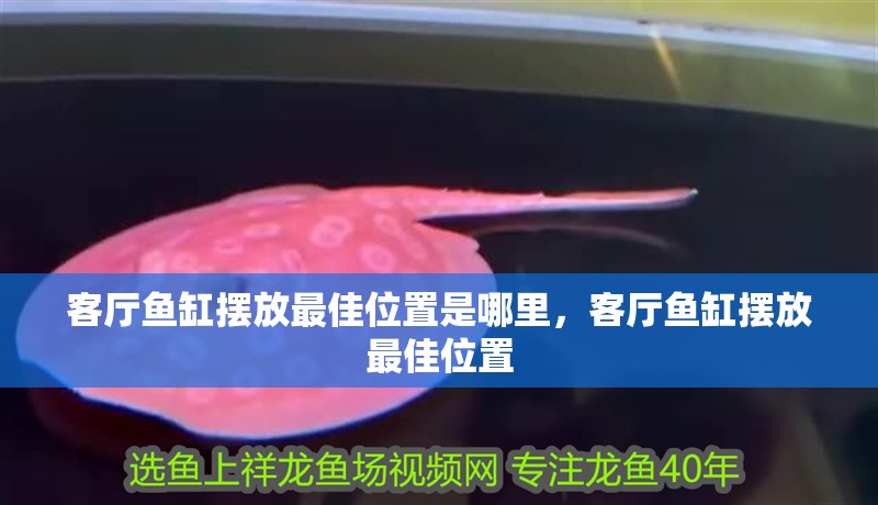 客廳魚缸擺放最佳位置是哪里，客廳魚缸擺放最佳位置