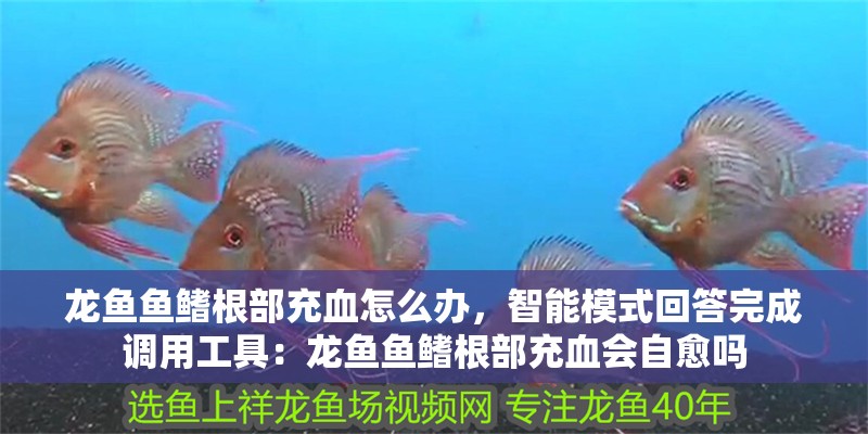 龍魚魚鰭根部充血怎么辦，智能模式回答完成調用工具：龍魚魚鰭根部充血會自愈嗎 龍魚魚鰭根部充血怎么辦，智能模式回答完成調用工具：龍魚魚鰭根部充血會自愈嗎 觀賞魚百科 第1張