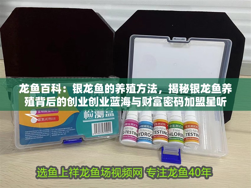 龍魚百科：銀龍魚的養殖方法，揭秘銀龍魚養殖背后的創業創業藍海與財富密碼加盟星聽