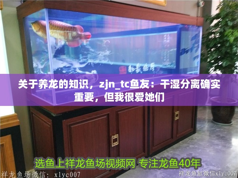 關于養龍的知識，zjn_tc魚友：干濕分離確實重要，但我很愛她們