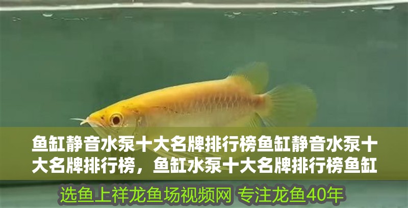 魚缸靜音水泵十大名牌排行榜魚缸靜音水泵十大名牌排行榜，魚缸水泵十大名牌排行榜魚缸靜音水泵十大名牌排行榜