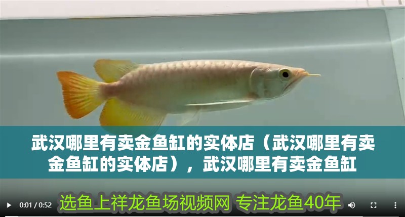 武漢哪里有賣金魚缸的實體店（武漢哪里有賣金魚缸的實體店），武漢哪里有賣金魚缸
