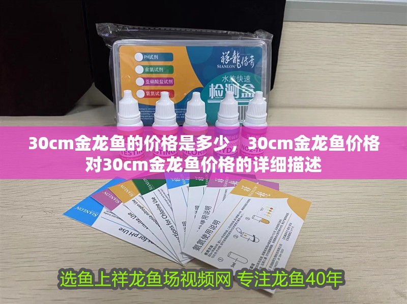 30cm金龍魚的價格是多少，30cm金龍魚價格對30cm金龍魚價格的詳細描述