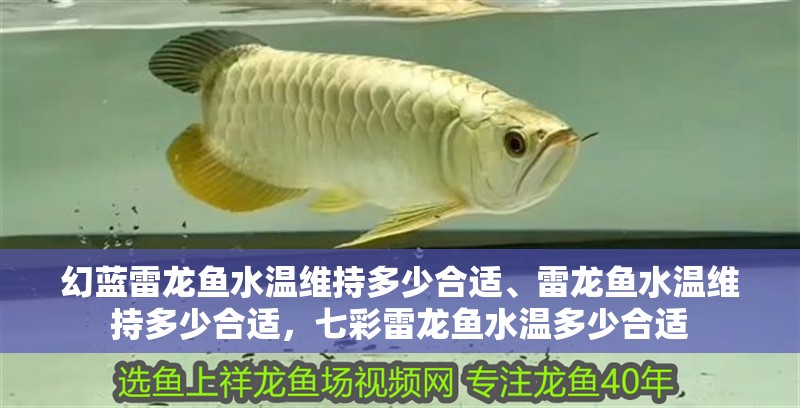 幻藍雷龍魚水溫維持多少合適、雷龍魚水溫維持多少合適，七彩雷龍魚水溫多少合適
