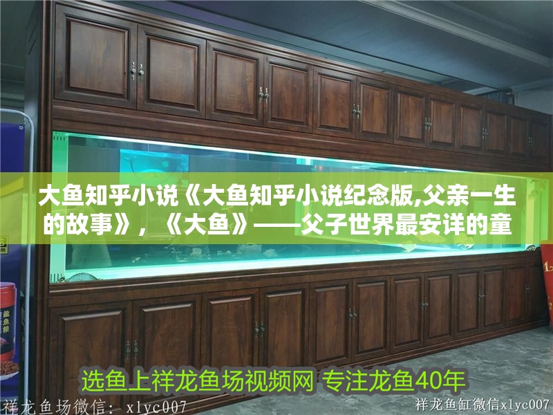 大魚知乎小說《大魚知乎小說紀念版,父親一生的故事》，《大魚》——父子世界最安詳的童話