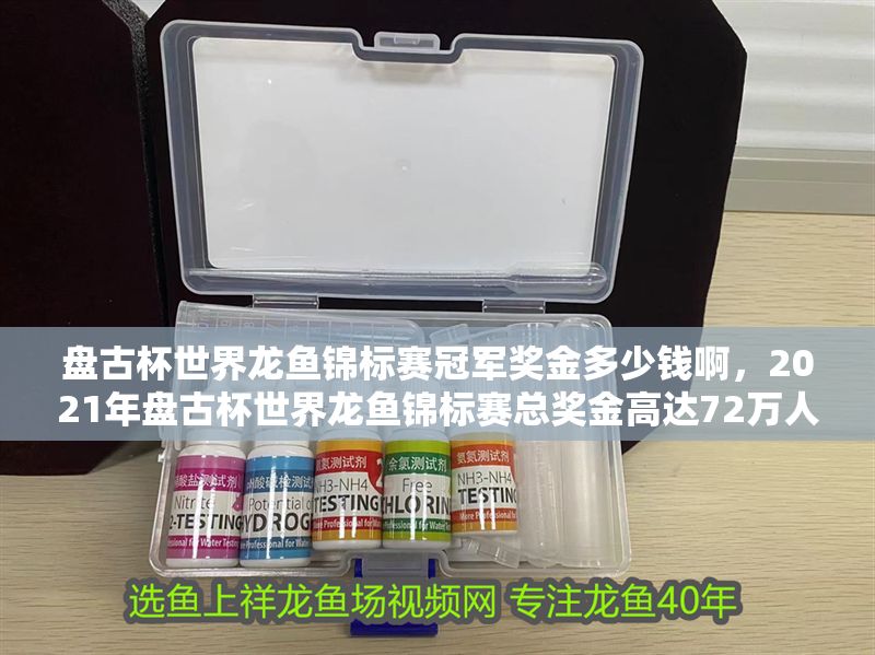 盤古杯世界龍魚錦標賽冠軍獎金多少錢啊，2021年盤古杯世界龍魚錦標賽總獎金高達72萬人民幣