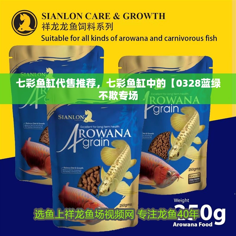 七彩魚缸代售推薦，七彩魚缸中的【0328藍綠不欺專場
