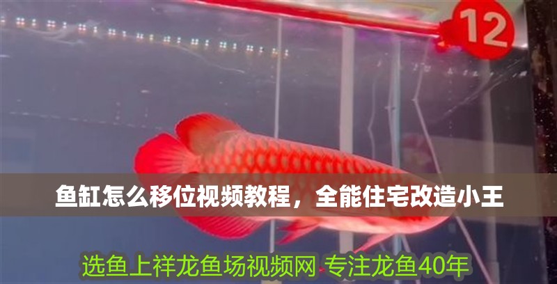 魚缸怎么移位視頻教程，全能住宅改造小王
