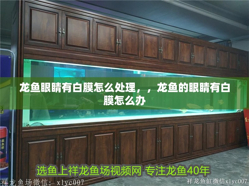 龍魚眼睛有白膜怎么處理，，龍魚的眼睛有白膜怎么辦