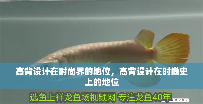 高背設(shè)計在時尚界的地位，高背設(shè)計在時尚史上的地位