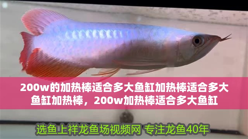 200w的加熱棒適合多大魚缸加熱棒適合多大魚缸加熱棒，200w加熱棒適合多大魚缸