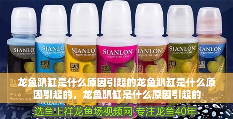 龍魚趴缸是什么原因引起的龍魚趴缸是什么原因引起的，龍魚趴缸是什么原因引起的