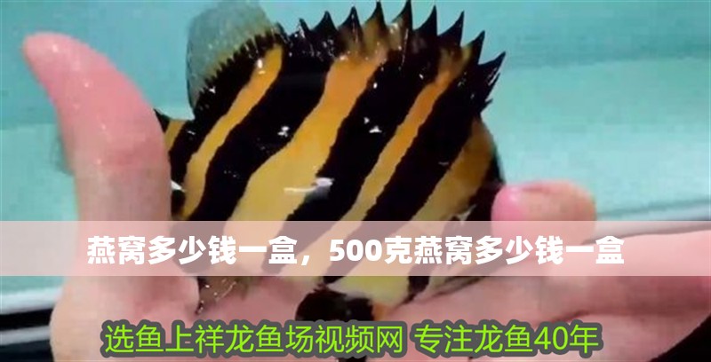 燕窩多少錢一盒,500克燕窩多少錢一盒 觀賞魚百科 第2張 燕窩多少錢一盒,500克燕窩多少錢一盒 燕窩多少錢一盒,500克燕窩多少錢一盒 觀賞魚百科 第2張