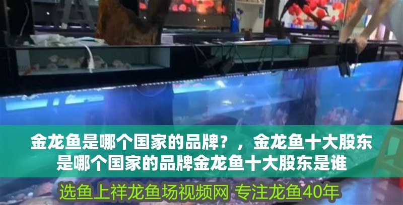 金龍魚是哪個國家的品牌？，金龍魚十大股東是哪個國家的品牌金龍魚十大股東是誰 金龍魚是哪個國家的品牌？，金龍魚十大股東是哪個國家的品牌金龍魚十大股東是誰 觀賞魚百科 第2張