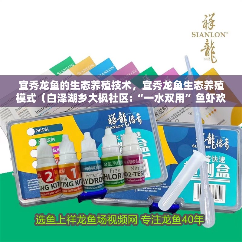 宜秀龍魚的生態養殖技術，宜秀龍魚生態養殖模式（白澤湖鄉大楓社區:“一水雙用”魚蝦歡