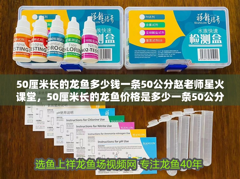 50厘米長(zhǎng)的龍魚(yú)多少錢(qián)一條50公分趙老師星火課堂，50厘米長(zhǎng)的龍魚(yú)價(jià)格是多少一條50公分趙老師星火課堂