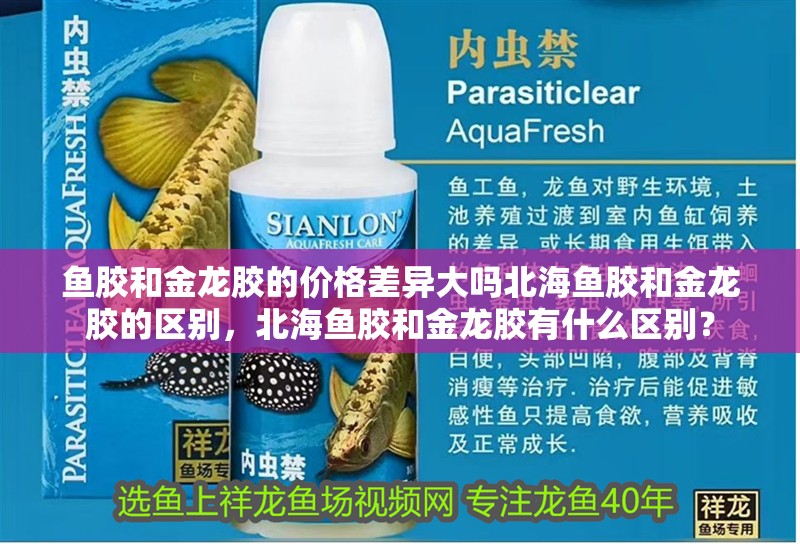 魚膠和金龍膠的價(jià)格差異大嗎北海魚膠和金龍膠的區(qū)別，北海魚膠和金龍膠有什么區(qū)別？