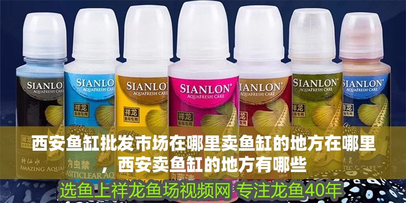 西安魚缸批發市場在哪里賣魚缸的地方在哪里，西安賣魚缸的地方有哪些 西安魚缸批發市場在哪里賣魚缸的地方在哪里，西安賣魚缸的地方有哪些 觀賞魚百科 第2張