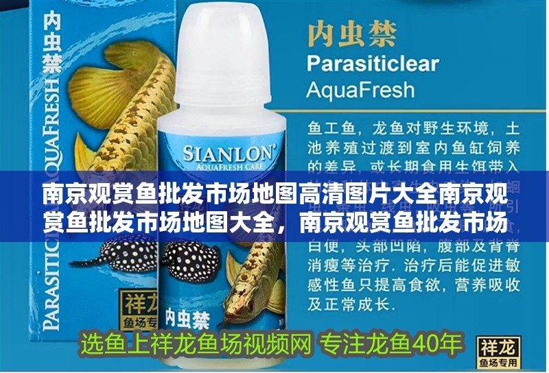 南京觀賞魚批發市場地圖高清圖片大全南京觀賞魚批發市場地圖大全，南京觀賞魚批發市場