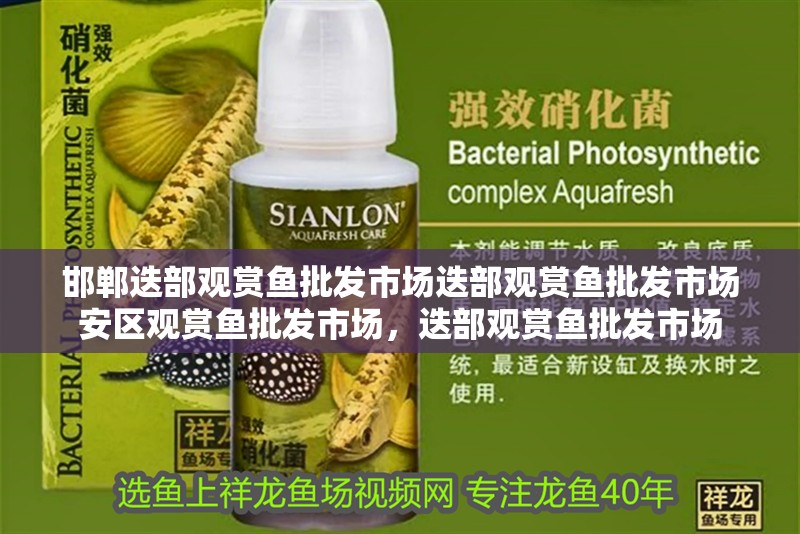 邯鄲迭部觀賞魚批發市場迭部觀賞魚批發市場安區觀賞魚批發市場，迭部觀賞魚批發市場