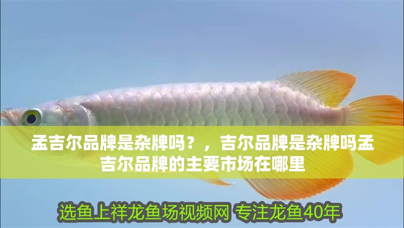 孟吉爾品牌是雜牌嗎？，吉爾品牌是雜牌嗎孟吉爾品牌的主要市場在哪里