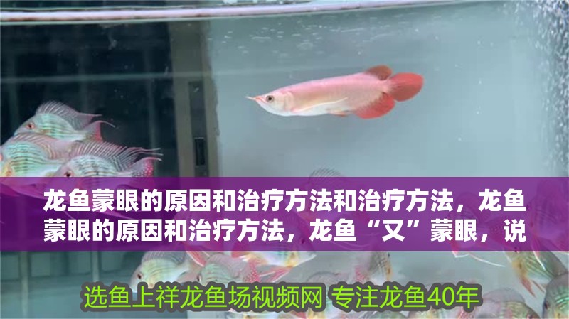 龍魚蒙眼的原因和治療方法和治療方法，龍魚蒙眼的原因和治療方法，龍魚“又”蒙眼，說明你水質很差，要自檢