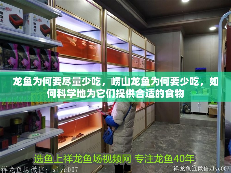 龍魚為何要盡量少吃，嶗山龍魚為何要少吃，如何科學地為它們提供合適的食物