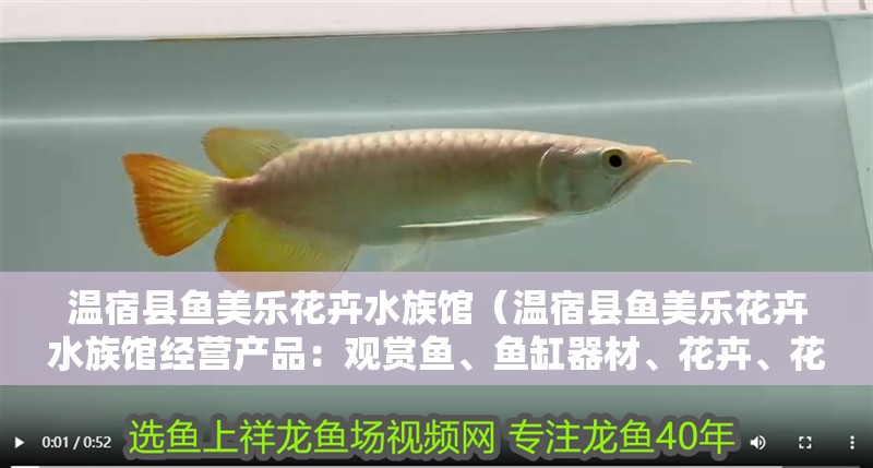 溫宿縣魚美樂花卉水族館（溫宿縣魚美樂花卉水族館經營產品：觀賞魚、魚缸器材、花卉、花盆銷售）