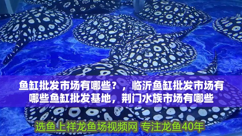 魚缸批發市場有哪些？，臨沂魚缸批發市場有哪些魚缸批發基地，荊門水族市場有哪些