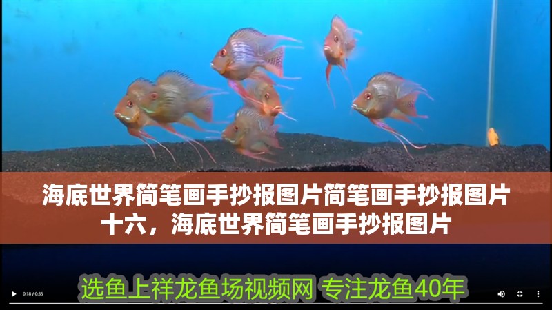 海底世界簡筆畫手抄報圖片簡筆畫手抄報圖片十六，海底世界簡筆畫手抄報圖片
