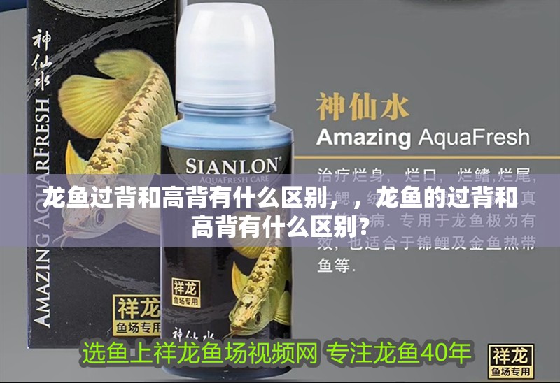 龍魚過(guò)背和高背有什么區(qū)別，，龍魚的過(guò)背和高背有什么區(qū)別？