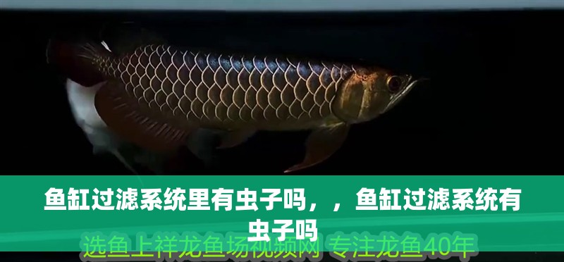 魚缸過濾系統(tǒng)里有蟲子嗎，，魚缸過濾系統(tǒng)有蟲子嗎