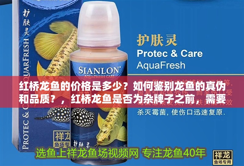 紅橋龍魚的價格是多少？如何鑒別龍魚的真偽和品質？，紅橋龍魚是否為雜牌子之前，需要了解“雜牌子”的含義