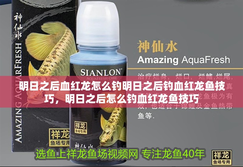 明日之后血紅龍怎么釣明日之后釣血紅龍魚技巧，明日之后怎么釣血紅龍魚技巧