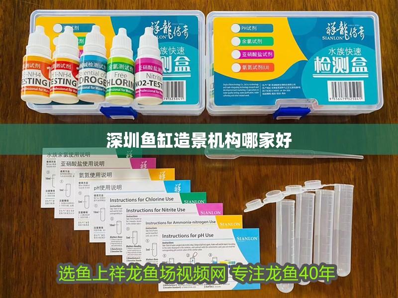 深圳魚缸造景機構哪家好