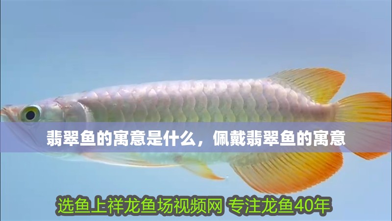 翡翠魚的寓意是什么，佩戴翡翠魚的寓意 翡翠魚的寓意是什么，佩戴翡翠魚的寓意 觀賞魚百科 第2張