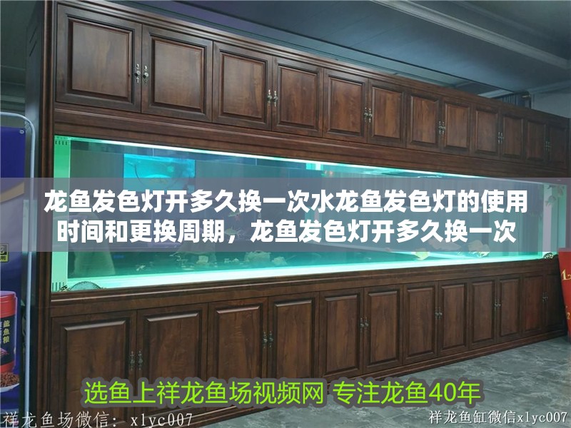 龍魚發色燈開多久換一次水龍魚發色燈的使用時間和更換周期，龍魚發色燈開多久換一次