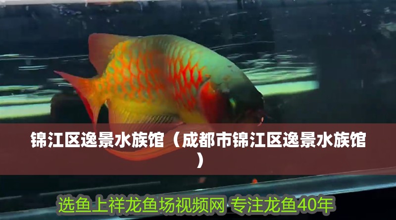 錦江區(qū)逸景水族館（成都市錦江區(qū)逸景水族館）