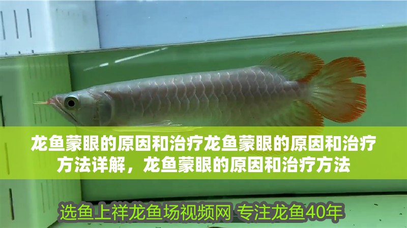 龍魚蒙眼的原因和治療龍魚蒙眼的原因和治療方法詳解，龍魚蒙眼的原因和治療方法