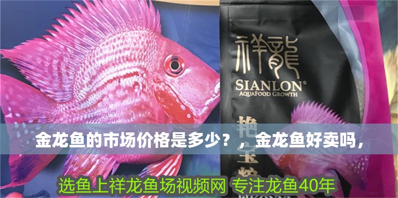金龍魚的市場價格是多少？，金龍魚好賣嗎，