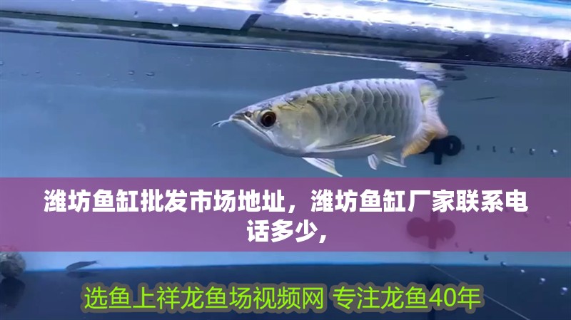 濰坊魚缸批發市場地址，濰坊魚缸廠家聯系電話多少,