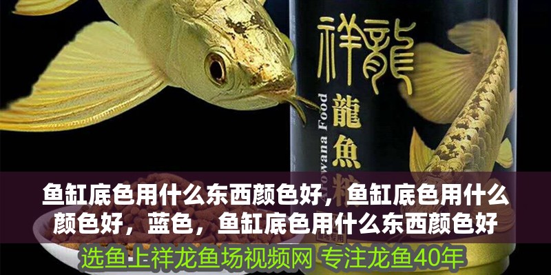 魚缸底色用什么東西顏色好，魚缸底色用什么顏色好，藍色，魚缸底色用什么東西顏色好